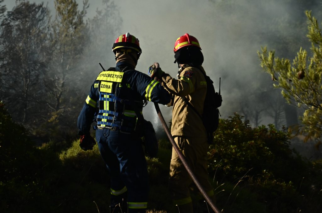 Επικίνδυνη Δασική Πυρκαγιά στα Ροζενά Κορινθίας με Αυξημένες Πυροσβεστικές Δυνάμεις