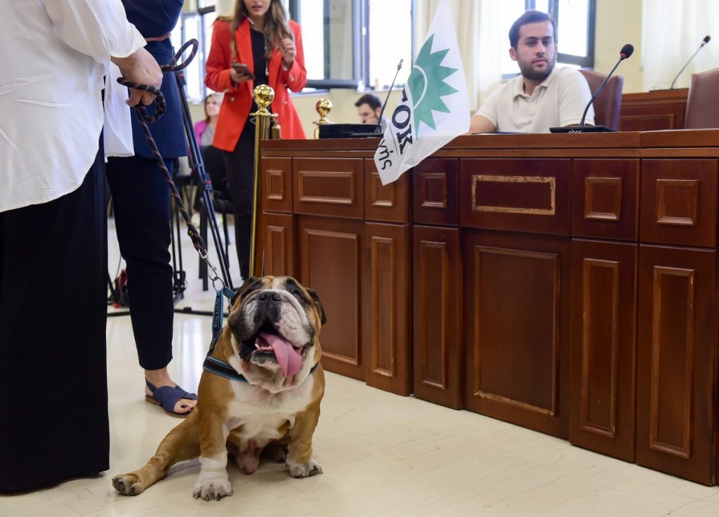 Αυξημένη Συμμετοχή και Ελπίδες για Νέες Αλλαγές στις Εκλογές του ΠΑΣΟΚ